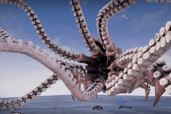 Kraken 18 at