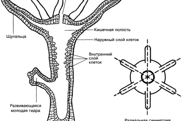 Найти ссылку кракен